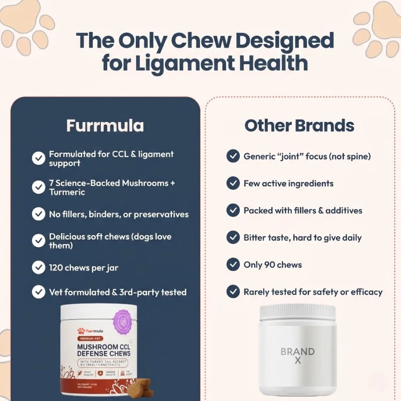 Premium Mushroom CCL Defense Chews
