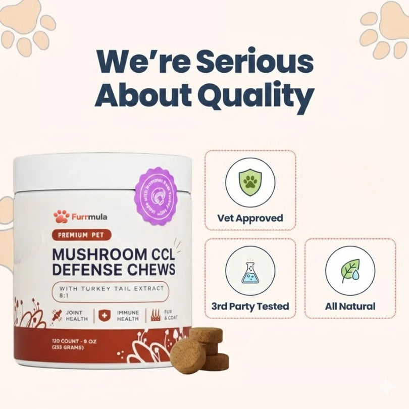 Premium Mushroom CCL Defense Chews