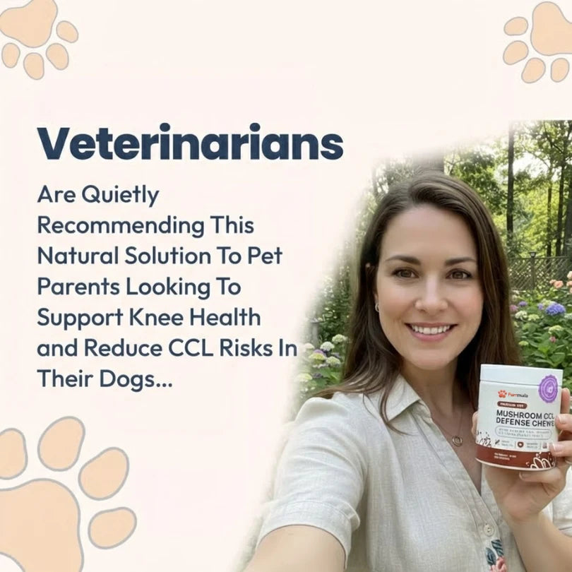 Premium Mushroom CCL Defense Chews